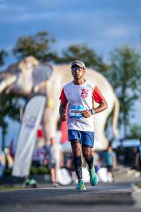 BIB: 
                            <button type="button" onclick="openModal(26541258)" class="btn btn-primary btn-sm float-right btn-popup" data-toggle="modal" data-target=".modal-high-quality">
                        <i class="fas fa-shopping-cart"></i> Add to Cart
                    </button>
                                            <button type="button" onclick="isThisMe(26541258, true)" class="btn btn-success btn-sm float-right btn-popup btn-isme hidden" data-toggle="tooltip" data-placement="bottom" title="นี่คือรูปของคุณใช่ไหม คลิกที่นี่เพื่อเอาเข้าอัลบั้ม">
                        <i class="fas fa-plus"></i> Add to album
                    </button>
                    <button type="button" onclick="isThisMe(26541258, false)" class="btn btn-warning btn-sm float-right btn-popup btn-isnotme hidden">
                        <i class="fas fa-ban"></i> Remove from album
                    </button>